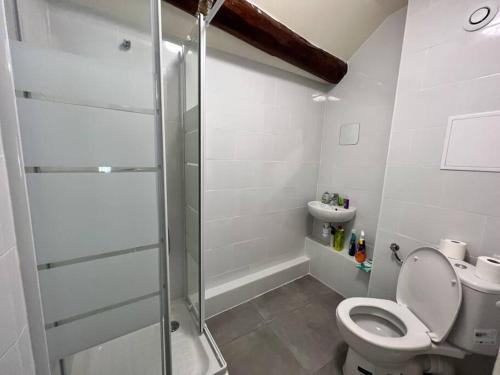 ein Bad mit einer Dusche, einem WC und einem Waschbecken in der Unterkunft Key-s Meaux/Suite9-Moka/centre/Disney in Meaux