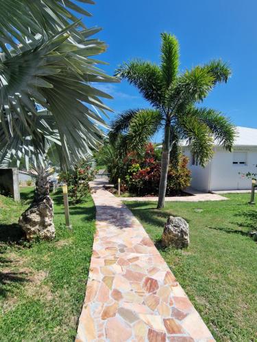 un chemin en pierre dans une cour plantée de palmiers dans l'établissement Les Villas de Boisvin, à Le Moule