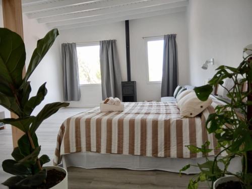 1 dormitorio con 1 cama con manta a rayas en Comunidad Monte Pasubio en Quequén