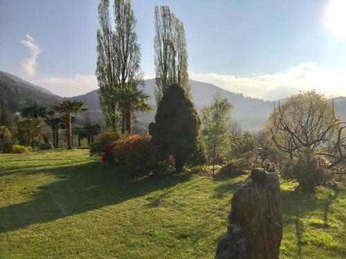 a garden with trees and a field of grass at La tana alla Costa di Sessa in Sessa