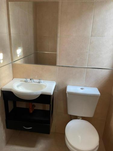 ヘネラル・アルベアールにあるCaseros 139の白いトイレと洗面台のあるバスルーム