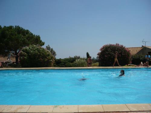 - une piscine avec un dauphin dans l'établissement BAMBOU NATURE, à Saint Pierre La Mer