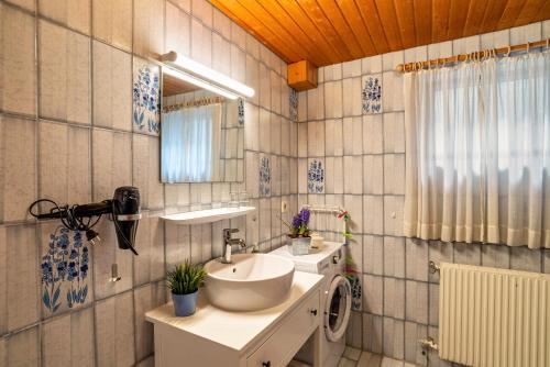 een badkamer met een wastafel en een spiegel bij Wächtersberg in Wildberg