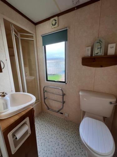 a bathroom with a toilet and a sink and a window at Cosy country style static holiday home in Aberystwyth