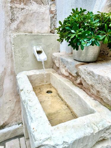 Casa Dahlia – Photos 3