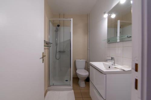 een badkamer met een douche, een toilet en een wastafel bij LA BELLE VIE - Appartement cosy au centre-ville in Auxerre