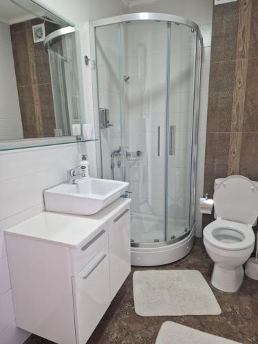 a bathroom with a shower and a sink and a toilet at Marta apartment in Petrovac na Moru