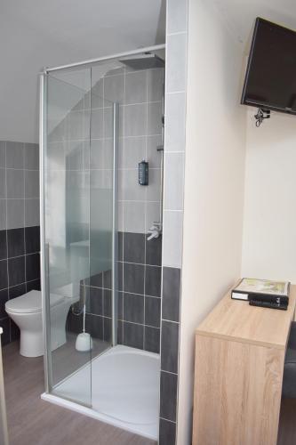 a glass shower in a bathroom with a toilet at Auberge Saint Fergeux in Gionges
