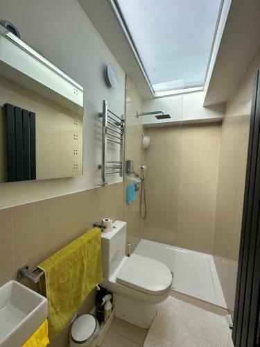 a bathroom with a toilet and a sink and a mirror at Sheri's Home away in Hither Green