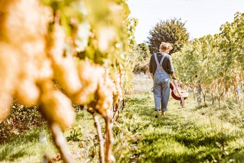 a woman walking through a vineyard in a field at Vakantiewoning op Natuurterrein t Heuvelhof met optioneel hottub en sauna in Heuvelland