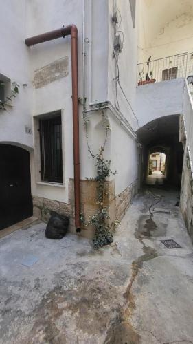 Φωτογραφία από το άλμπουμ του QUART0 GREC0 Suite 15 σε Altamura