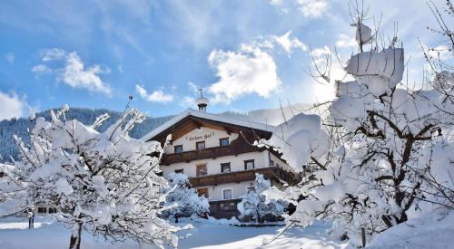 a building covered in snow with trees in the foreground at Leitnerhof in Niederau