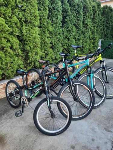 eine Gruppe nebeneinander geparkt Fahrräder in der Unterkunft Miido Apartments in Kladovo