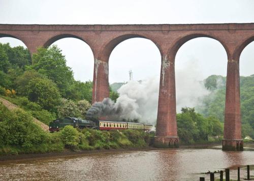 a train traveling under a bridge over a river at Captain Cooks Haven in Whitby