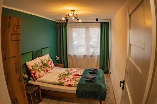 a bedroom with a bed with green walls and a window at Loft Apartament ULA in Elblag