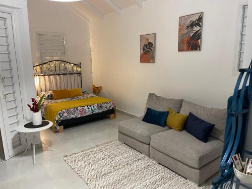 ein Wohnzimmer mit einem Sofa und einem Bett in der Unterkunft Nid D amour in Petit-Bourg