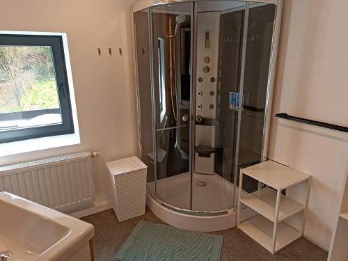 a bathroom with a shower and a toilet and a sink at Clénoliette in Cerfontaine