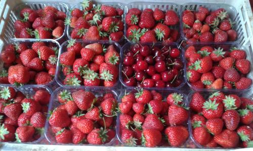 a bunch of strawberries in a plastic container at Bed&Braja in Vische