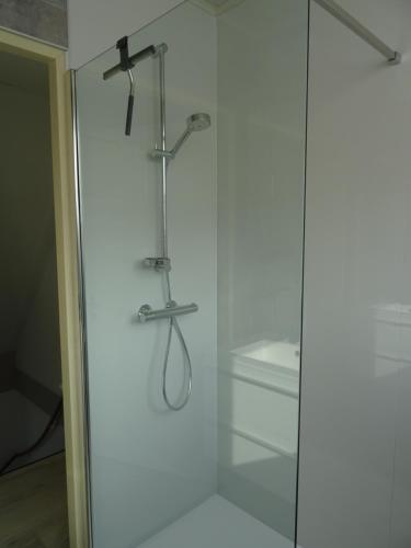 een douche met een glazen deur in de badkamer bij Kustverhuur, Park Schoneveld, Stern 234 met eigen elektrische laadpaal in Breskens