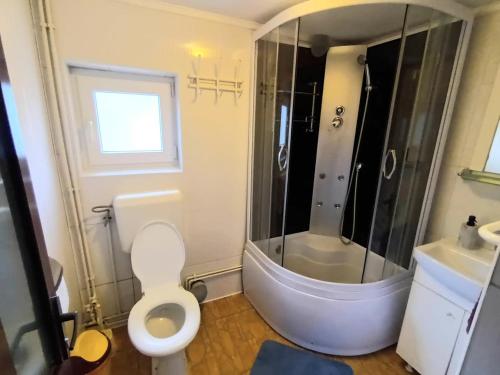 een badkamer met een douche, een toilet en een wastafel bij Casa La Munte - Zona Rucar in Cetatenii