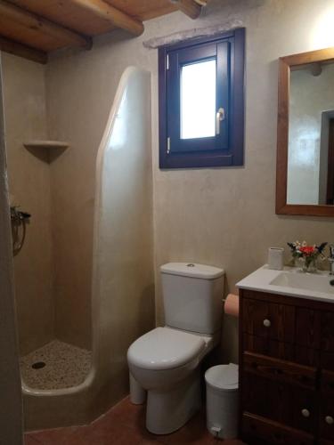 a bathroom with a toilet and a sink and a mirror at Monitsia Traditional House in Khalkíon