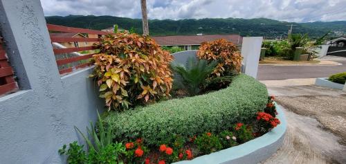 a garden with flowers on the side of a building at Hillside Retreat in Gated Community Close to Beach in Montego Bay