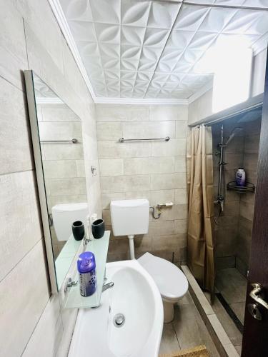 a bathroom with a toilet and a sink at Cabana La Coco Horea in Arada