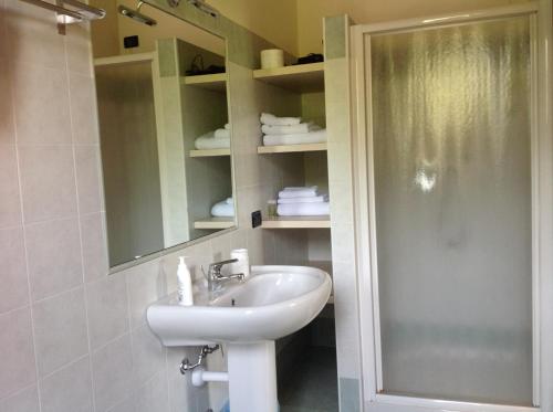 y baño con lavabo y ducha. en Villa Pasini, en Provaglio d'Iseo