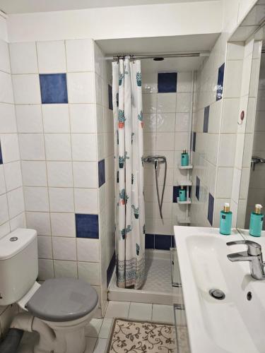 ein Bad mit einem WC, einem Waschbecken und einer Dusche in der Unterkunft Charmant 2 pièces centre Sospel in Sospel