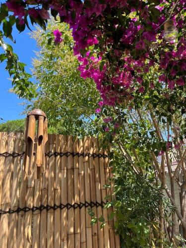 une clôture avec des fleurs violettes suspendues au-dessus d'une clôture dans l'établissement Cigalou fabuleux studio entre le Brusc et Sanary, à Six-Fours-les-Plages