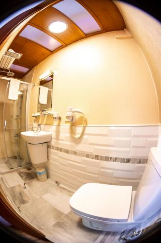 a bathroom with a white toilet and a sink at Büyükada Anastasia Meziki History Mansion in Buyukada