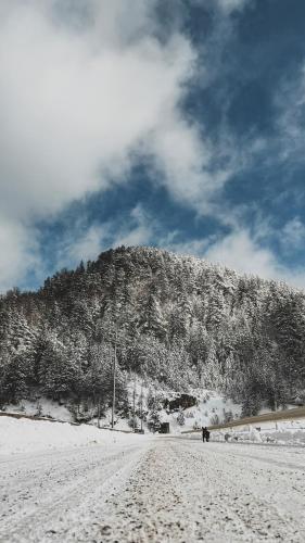 a mountain covered in snow on a road at Tarvil Apartmani - Zaovine in Bajina Bašta