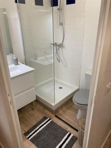 une salle de bain avec une douche, des toilettes et un lavabo dans l'établissement Superbe petit studio plein centre ville, à Figeac