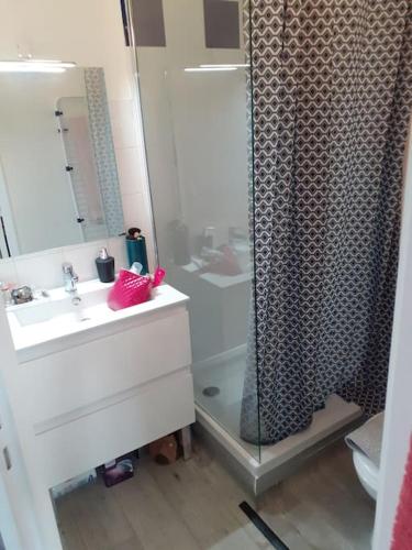 een badkamer met een douche, een wastafel en een toilet bij Superbe petit studio plein centre ville in Figeac