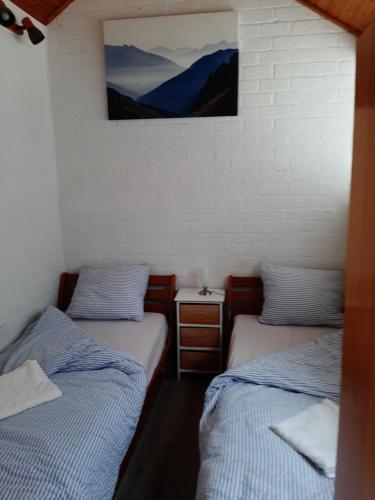 a room with two beds and a picture on the wall at Stern in Bruinisse