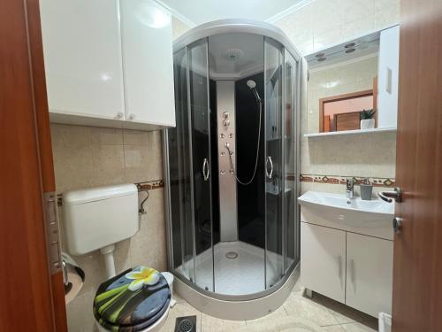 a bathroom with a shower and a sink at Apartments and Rooms Maritimo in Dubrovnik