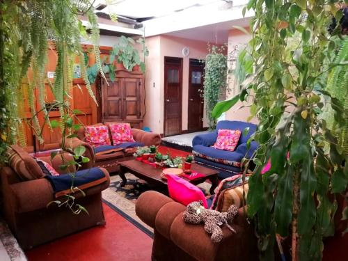 ein Wohnzimmer mit Sofas und Pflanzen in der Unterkunft Casa De Leon in Antigua Guatemala