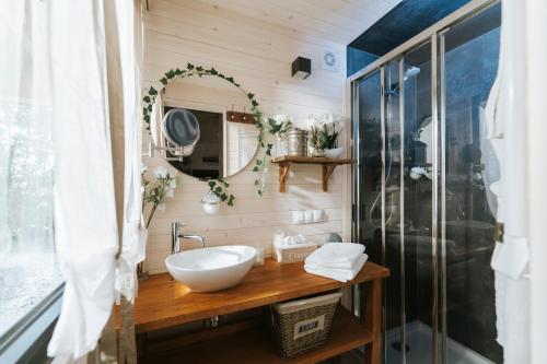 een badkamer met een wastafel en een spiegel bij Berry Séjours in Malicornay