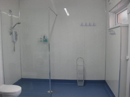 a bathroom with a glass shower and a toilet at 94 Main Street - Pembroke Holiday Home in Pembroke