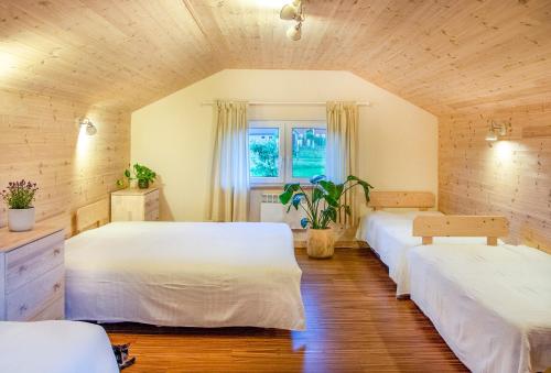 a bedroom with three beds and a window at Dębowa Osada in Bobolin