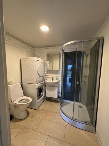 een badkamer met een douche, een toilet en een wastafel bij Furnished 1st floor apartment with walking distance to Beach. in Abbekås