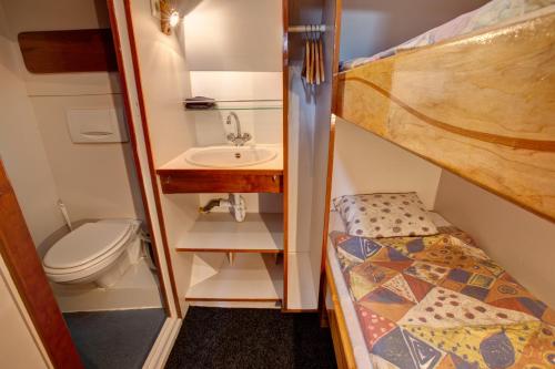 a bathroom with a sink and a toilet and a bunk bed at Panta Rhei Boatique Hotel in Amsterdam