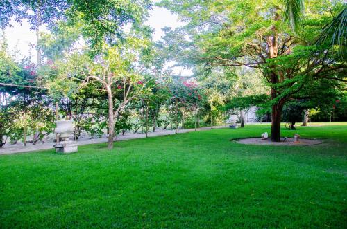 a park with green grass and trees and benches at Hotel Acarau Riviera in Acaraú