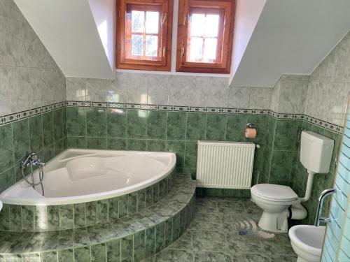 a green bathroom with a tub and a toilet at Cabana Perla Munților - Valea Doftanei in Podu lui Neag