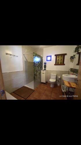 a bathroom with a shower and a toilet and a sink at White Tree JARA - Casa Rural para grupos con piscina en Zamora in Rabanales