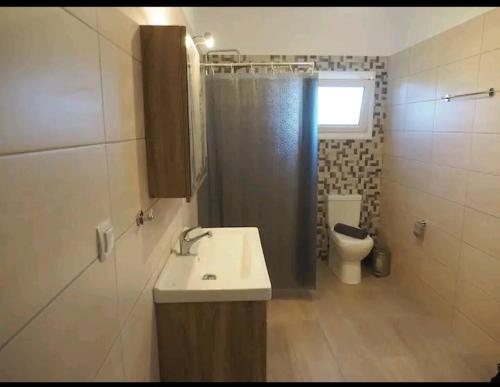 La salle de bains est pourvue d'un lavabo, d'une douche et de toilettes. dans l'établissement APARTMENTS DIMITRA, à Valanidorachi