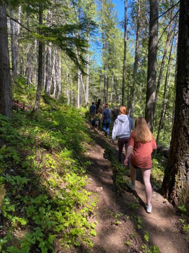 a group of people walking down a trail in the woods at Revelstoke RV & Cabin Resort in Revelstoke