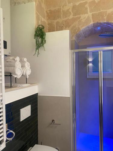 a bathroom with a shower and a toilet at Lo scorcio sul Barisano in Matera