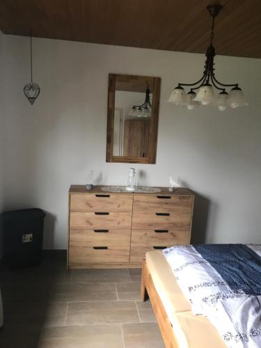 um quarto com uma cómoda de madeira e um espelho em Ferienhaus am Heringskoop em Nordleda