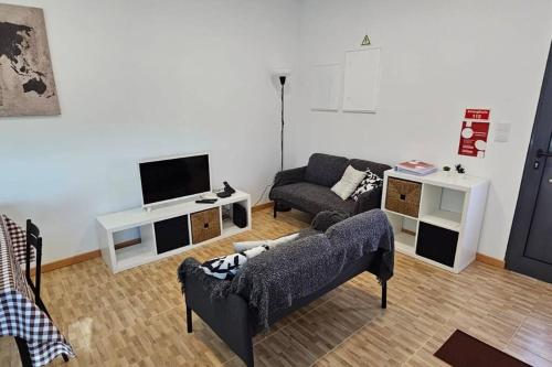 uma sala de estar com um sofá e uma televisão em Casa da Relva em Ponta Delgada